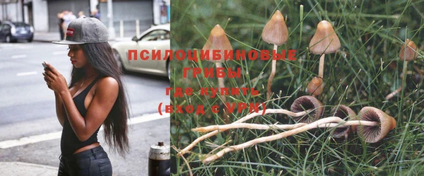 COCAINE Белокуриха