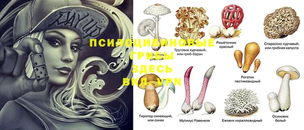 COCAINE Богородицк