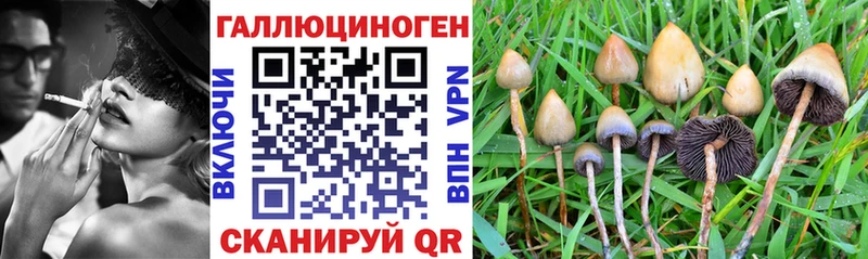 Псилоцибиновые грибы GOLDEN TEACHER  мега tor  Среднеуральск 